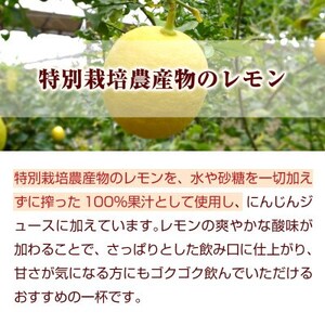 冷凍にんじんレモンジュース 1箱(30パック) 無添加 ストレート 人参ジュース【配送不可地域：離島】【1625043】