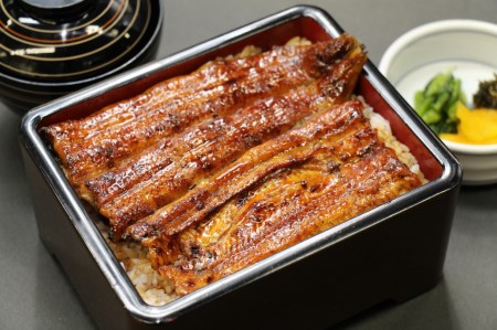 うなぎ 蒲焼 真空パック １人前 うな繁 うな重 ひつまぶし たれ付き お中元 ギフト 富士山 湧水 ウナギ 鰻 土用 丑の日 個包装 人気 美味しい 小分け 静岡県