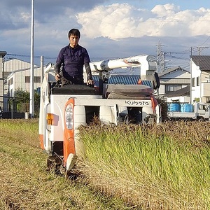 わたなべ農園　幻の古代米「緑米」900g