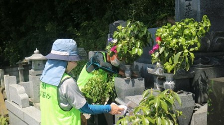墓地清掃・墓石清掃（年１回）