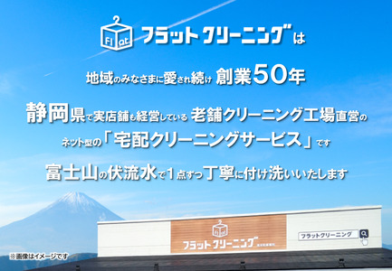 フラットクリーニング 10点 保管 パック 利用券 チケット 衣類 衣替え クリーニング おすすめ 便利