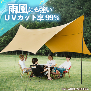 2026年2～3月発送 ザ・ファースト タープ 1個 タープ