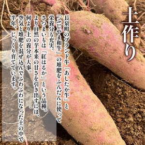 干し芋 600g 3袋 紅はるか 干し芋