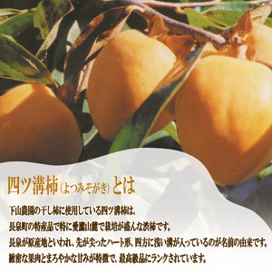 干し柿 12玉 四ツ溝柿