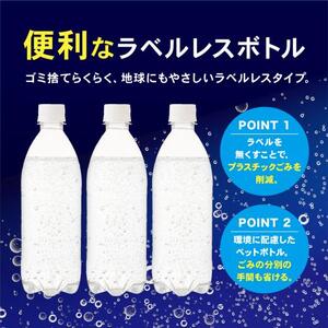 C67【定期便3か月コース】富士山の強炭酸水500mlラベルレス×24本入×3回