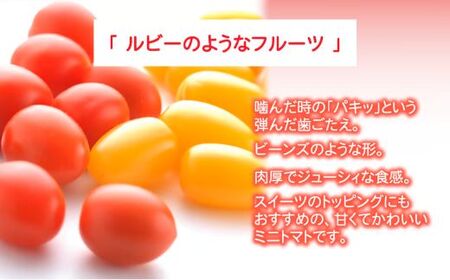 アメーラ ルビンズ ＆ ルビンズ ゴールド 5パック ミニトマト アメーラ