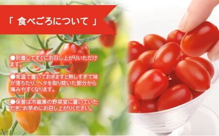 アメーラ ルビンズ ＆ ルビンズ ゴールド 5パック ミニトマト アメーラ