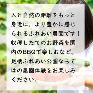 2H7足柄ふれあい公園　体験農園　スタンダード農園プラン（12か月）