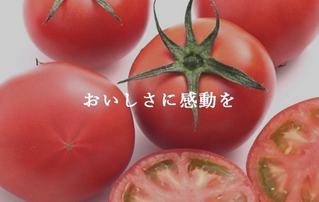 2B4アメーラトマト