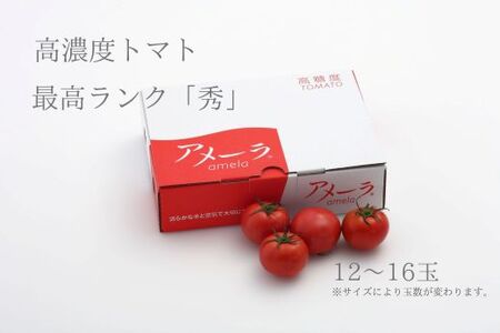 2B4アメーラトマト