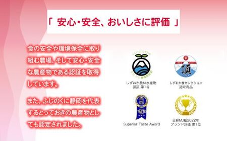 2B4アメーラトマト