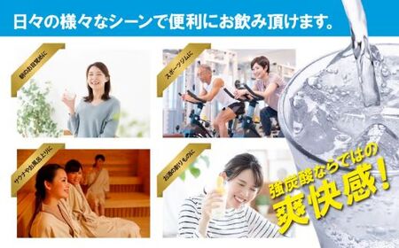 強炭酸水 【6ヶ月お届け】 PET500ml×1箱（24本入） 炭酸