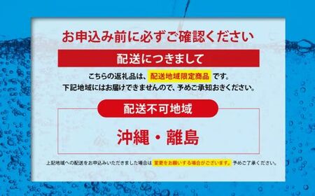 強炭酸水 最短3日 グレープフルーツ PET500ml×1箱（24本入） 炭酸