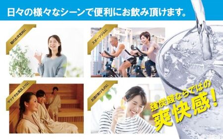 【定期便６か月コース】富士山の強炭酸水レモン500ml×24本入×６回