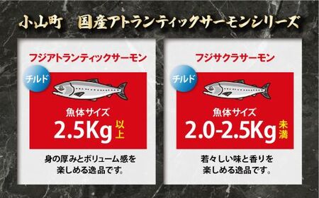 1B6【日本初:完全陸上養殖】「 フジサクラサーモン 」【 生 ・冷蔵】800g