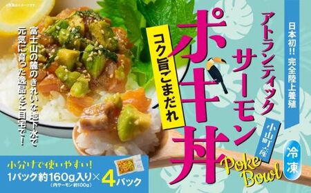 ポキ丼 サーモン 冷凍 約160g×4P コク旨ごまだれ サーモンポキ丼