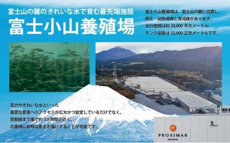 ポキ丼 サーモン 冷凍 約160g×4P コク旨ごまだれ サーモンポキ丼