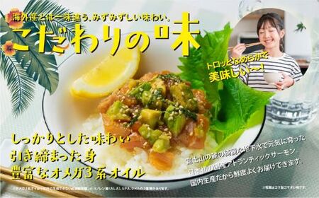 ポキ丼 サーモン 冷凍 食べ比べ 約160g/約130g×3P×4種 サーモンポキ丼