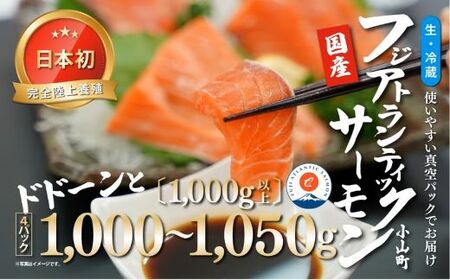 サーモン フジアトランティック 国産 小分け 4～5P 1kg サーモン
