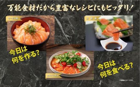 フジ アトランティック サーモン （ 2パック 500g以上 ） 国産 生食用 サーモン
