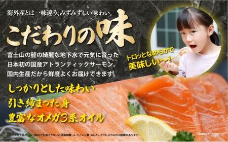 日本初 完全陸上養殖 静岡県小山町産 アトランティックサーモン 冷凍 6～7P 約1.5k