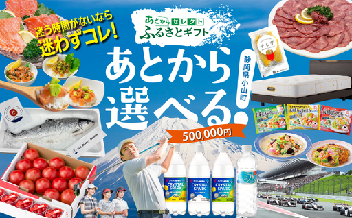 あとからセレクト 【 ふるさとギフト 】 500,000円分