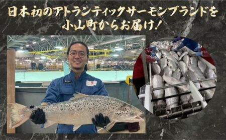 国産 小山町産 アトランティックサーモン 冷凍 スモークサーモン 80g×4パック 冷燻 