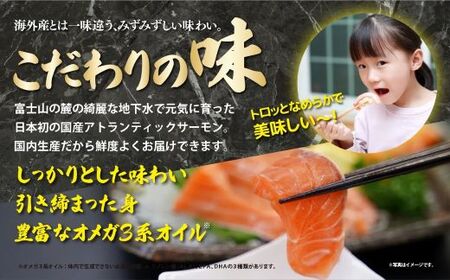 国産 小山町産 アトランティックサーモン 冷凍 スモークサーモン 80g×4パック 冷燻 