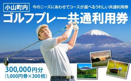 小山町内 ゴルフ場 共通利用券　（1000円券×300枚）