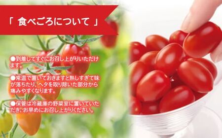 アメーラルビンズ 10パック入り