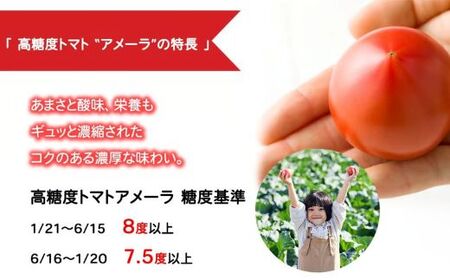 トマト ミニトマト アメーラ＆ルビンズ5P（1P約60g）