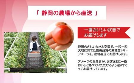 トマト ミニトマト アメーラ＆ルビンズ10P（1P約60g）