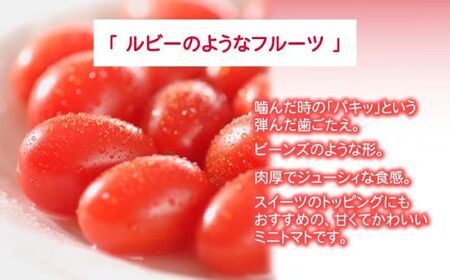 トマト ミニトマト アメーラ＆ルビンズ10P（1P約60g）