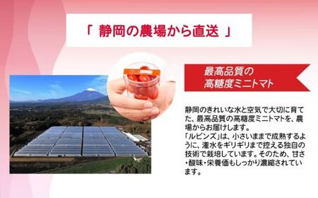 トマト ミニトマト アメーラ＆ルビンズ10P（1P約60g）