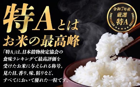 コシヒカリ 2㎏ 令和7年産 精米 コシヒカリ