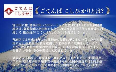 コシヒカリ 玄米 2㎏ 令和7年産 玄米コシヒカリ