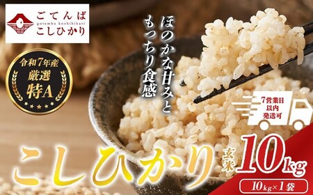 コシヒカリ 玄米 10㎏ 令和7年産 玄米コシヒカリ