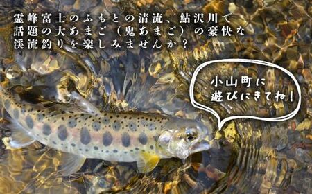 鮎沢川あまご釣り「日釣券」【遊漁券】※着日指定不可