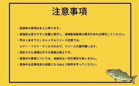鮎沢川あまご釣り「年券」 高校生 ※着日指定不可