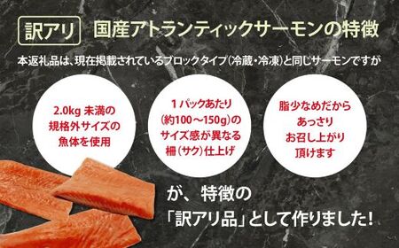  訳あり サーモン 約1kg 国産サーモン