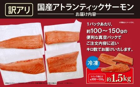 訳あり サーモン 約1.5kg 国産サーモン 訳あり