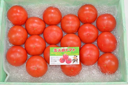 C3富士の恵たっぷりフルーツトマト　金太郎トマト1箱（約3㎏）