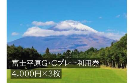 I16富士平原G・Cプレー利用券 3枚 【小山町内 ゴルフ場 共通利用券】