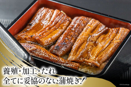 うなぎ 国産 静岡 うなぎ蒲焼 カット 80g ×6 計480g [静岡鰻販売 静岡県 吉田町 22424173]