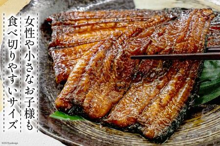 うなぎ 国産 蒲焼 カット大 約100g ×4p 冷凍 真空パック [駿河淡水 静岡県 吉田町 22424170]