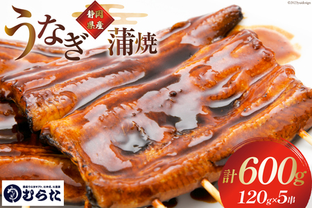 うなぎ 国産 炭火焼 肉厚 蒲焼 120g ×5尾 計600g [村田商店 静岡県 吉田町 22424192] 鰻 ウナギ 炭火焼き 炭火 蒲焼き 冷凍 真空パック うなぎのむらた