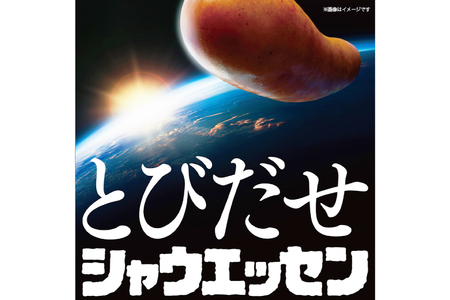 定期便 シャウエッセン 468g 10袋 計4.68kg 6回 総計28.08kg [ 日本ハム マーケティング 静岡県 吉田町 22424426]