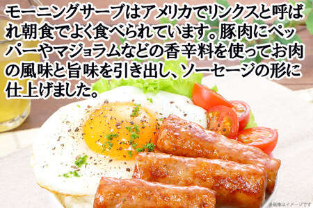 定期便 モーニングサーブ 480g 10袋 計4.8kg 3回 総計14.4kg [ 日本ハム マーケティング 静岡県 吉田町 22424315]