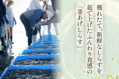 【明治神宮奉献品】 釜揚げしらす 小分け 定期便 150g 6パック 計900g 6回 総計5.4kg [丸三水産 静岡県 吉田町 22424458]