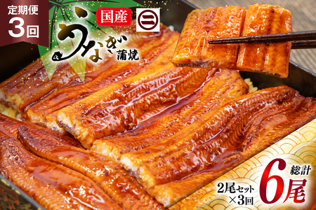 うなぎ 国産 蒲焼 定期便 145g前後 2尾 3回 総計6尾 真空パック タレ 山椒 付き 冷凍 [マルニうなぎ加工 静岡県 吉田町 22424474]